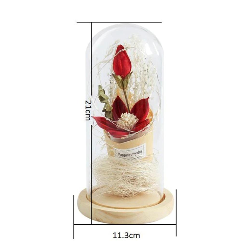 Beauty Dome Flower DRESSED Lighting Glass Vase with Wood Base onestopbazaar