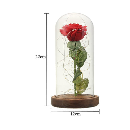 Flower Dome Glass With Micro Led onestopbazaar